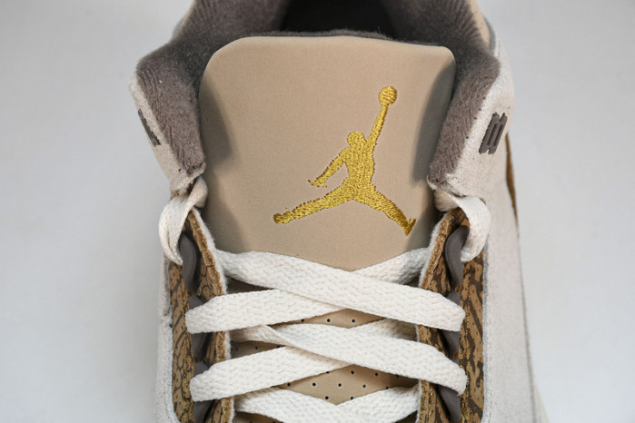 Air Jordan 3 "Palomino" CT8532-102
