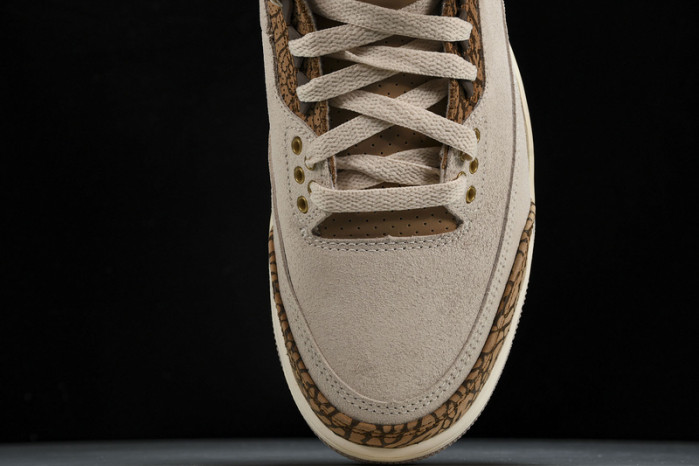 Air Jordan 3 "Palomino" CT8532-102