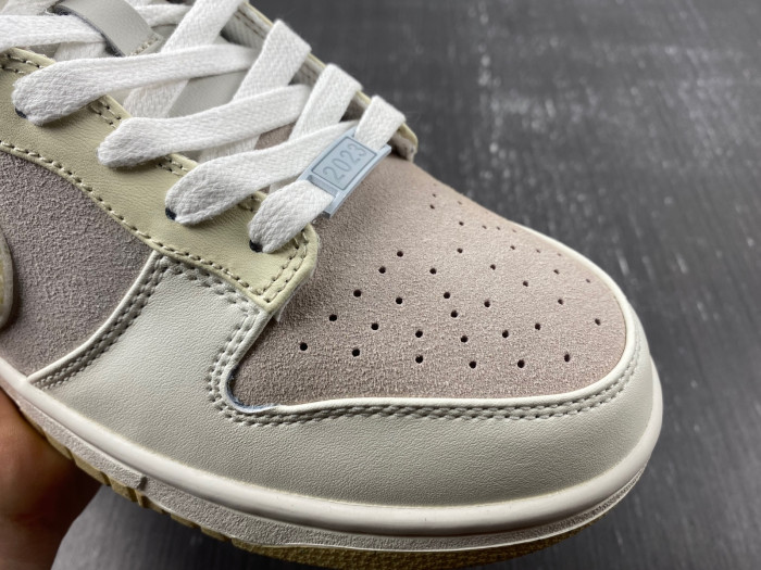 Nike Dunk Low  FD4203-211