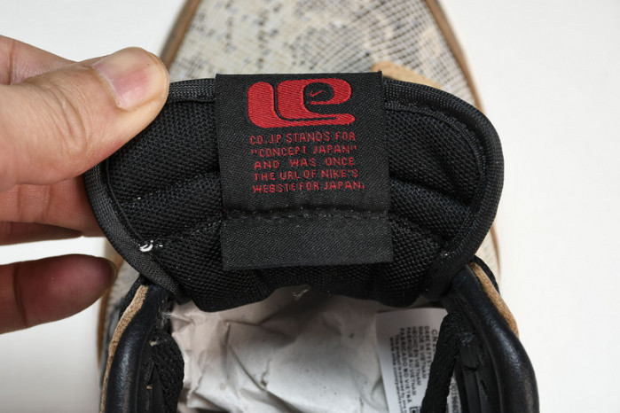 Nike Dunk Low Premium ATMOS  FJ5434-120