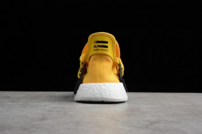 Adidas Pharrell x NMD Human Race 
